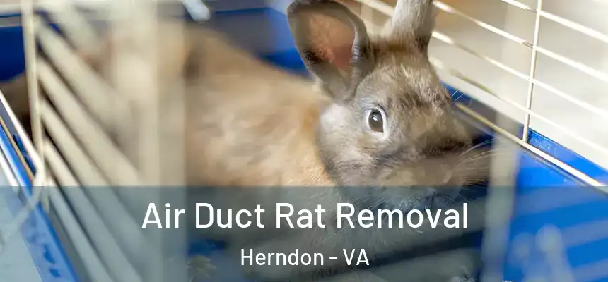 Air Duct Rat Removal Herndon - VA