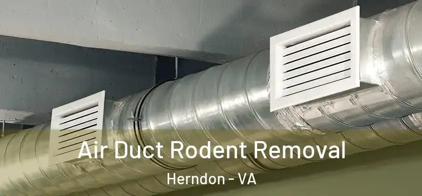  Air Duct Rodent Removal Herndon - VA
