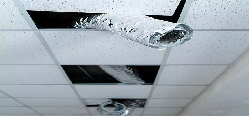 Our Air Duct Pet Hair Removal Services in Herndon, VA