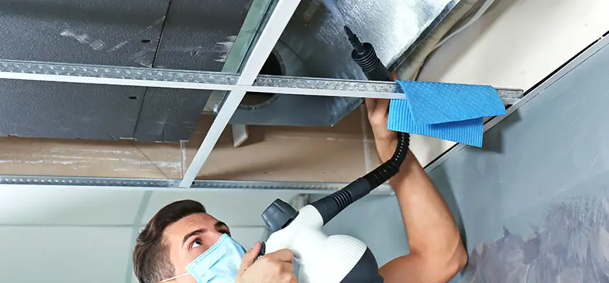 Our Air Duct Rodent Removal Services in Herndon, VA